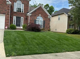 Nilanjan B.'s Lawn Service service result