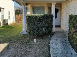 Bush Trimming by Gregory Kluetz for Erin M. in San Antonio, TX