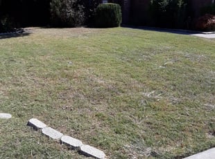 Leaf Removal by Miguel Perez for Mallory V. in Little Elm, TX