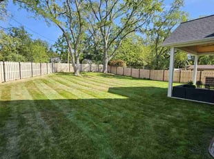 Tien C.'s Lawn Service service result