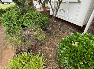 Weeding by Jarvis Hambrick for Sivia G. in Simpsonville, SC