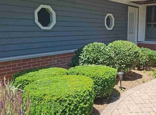 Bush Trimming by Bryan Rodriguez for Wes L. in Libertyville, IL