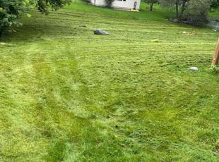 Connie P.'s Grass Cutting service result