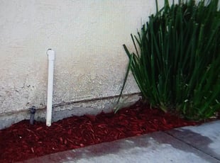 Mulching by Luis Medina for Alisa W. in Murrieta, CA