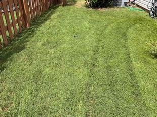 Steve M.'s Lawn Mowing Service service result