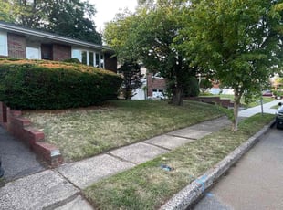 Weeding by Nelson Guerrero for Tony D. in Clifton, NJ