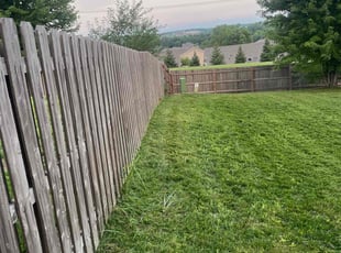 Bush Trimming by Corey Wolford for Hugo P. in Omaha, NE