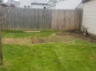 Cleanups by Kelvin Grove for Scott J. in Cleveland, OH