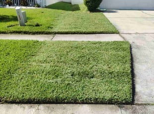Clifford A.'s Lawn Service service result