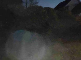 Cleanups by Michael Cherry for Roy S. in Matthews, NC