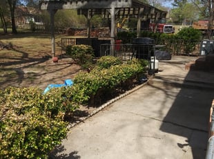Leaf Removal by Kevin Rodgers for Russ P. in Columbia, SC