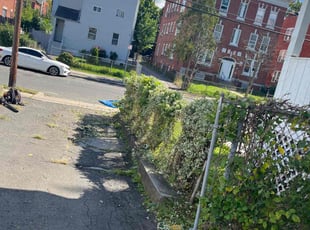 Bush Trimming by Andrew Paul for Lloyd A. in Hartford, CT
