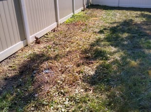 Cleanups by Bill Simcox for Mike F. in Bellmawr, NJ