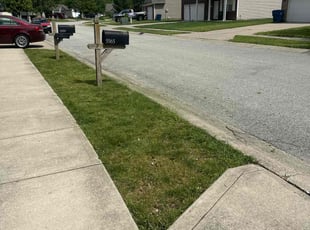Dyshaundra D.'s Lawn Care service result