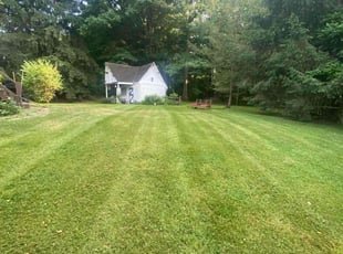 Syed H.'s Lawn Maintenance service result
