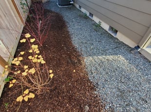 Leaf Removal by Coben Varland for Guru K. in Kirkland, WA