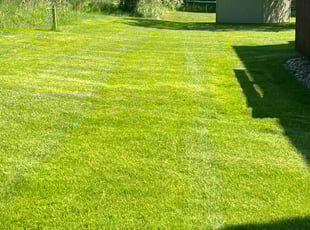 John L.'s Lawn Care service result