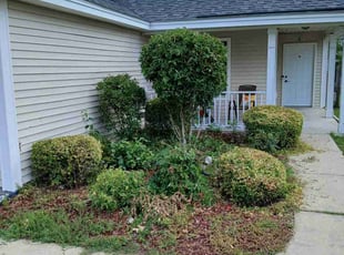 Bush Trimming by Jaczuile Pegues for Nathan H. in Columbia, SC