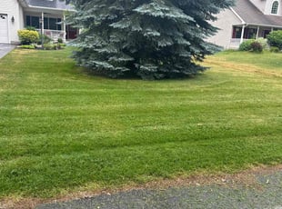 Cunnell R.'s Lawn Mowing Service service result