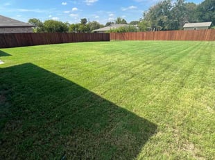 Latrice M.'s Lawn Care service result