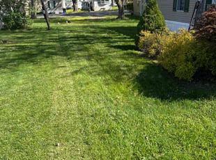 William P.'s Lawn Service service result