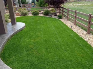 Zima G.'s Lawn Maintenance service result