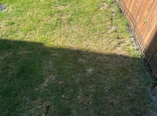 Aeration by Nouri Abdelkader for Yashpal S. in Bothell, WA
