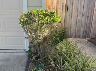 Bush Trimming by Ryan Toaston for Grace P. in Jacksonville, FL