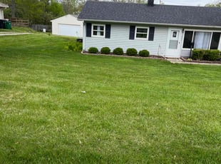 Nicole S.'s Lawn Mowing Service service result