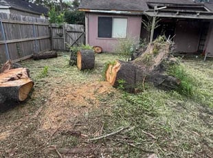 Cleanups by Semaj Ward for Jeremy B. in Houston, TX