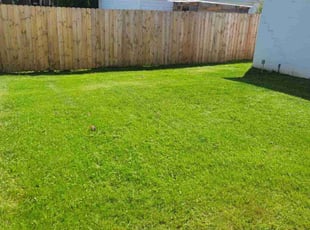 Renee G.'s Yard Cutting service result