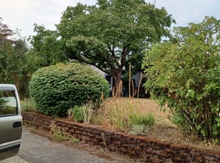Bush Trimming by Christopher Hodson for KEVIN K. in Portland, OR
