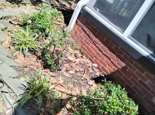 Bush Trimming by Nicole Royster for Matthew H. in Norfolk, VA
