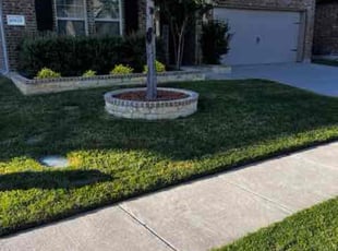 Mary S.'s Lawn Care service result