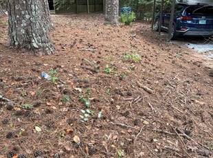 Cleanups by Jermaine Huguley for ANITA C. in Atlanta, GA
