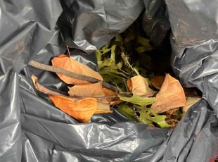 Cleanups by Eric Aguirre for Jack N. in Dallas, TX
