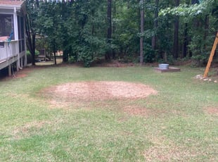 Leaf Removal by Chad Mullins for Kim H. in Apex, NC