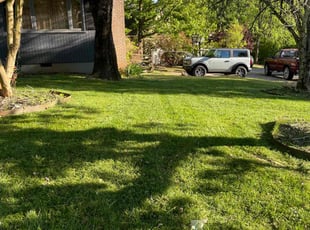 Ann A.'s Lawn Mowing service result