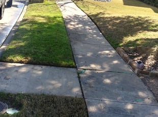 Leaf Removal by Edward Smith for Michael G. in Plano, TX