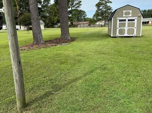 Taylor P.'s Lawn Maintenance service result