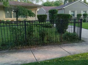 Bush Trimming by Darren Cooley for Kenneth M. in Joliet, IL