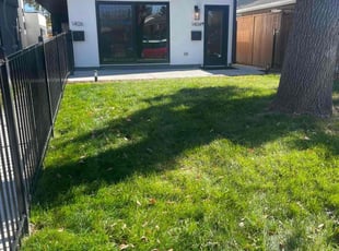Leaf Removal by Eugenio PΓ©rez for Heather D. in Denver, CO