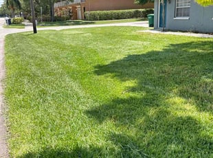 Susan C.'s Lawn Mowing Service service result