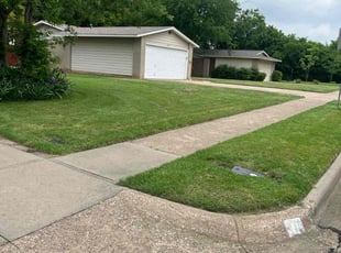 Jason P.'s Yard Cutting service result