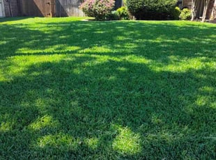 Matthew M.'s Lawn Care service result