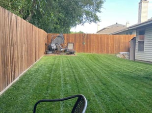 Carrie L.'s Lawn Mowing service result