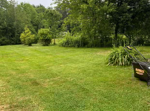 Floyd T.'s Lawn Service service result