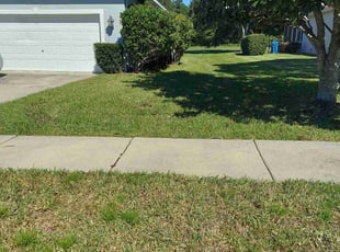 Bush Trimming by Joe Rizzo for Michael k. in Brooksville, FL