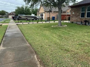 Luis R.'s Lawn Service service result