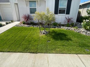 Lea F.'s Lawn Service service result